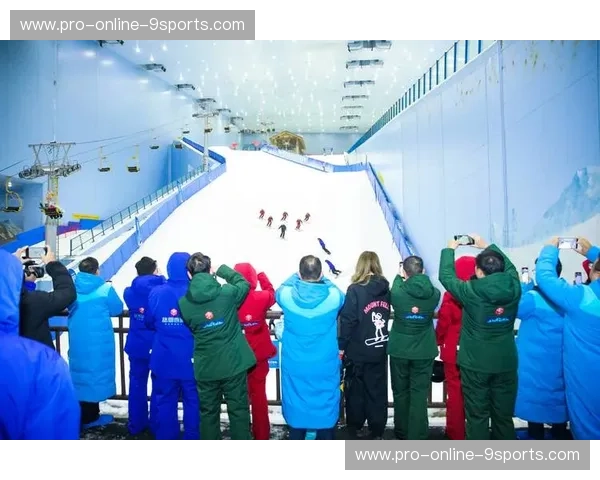 冬奥会官网：连接世界的冰雪奇迹